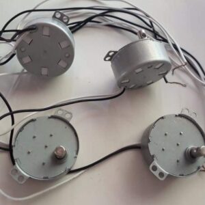 Động cơ đảo trứng