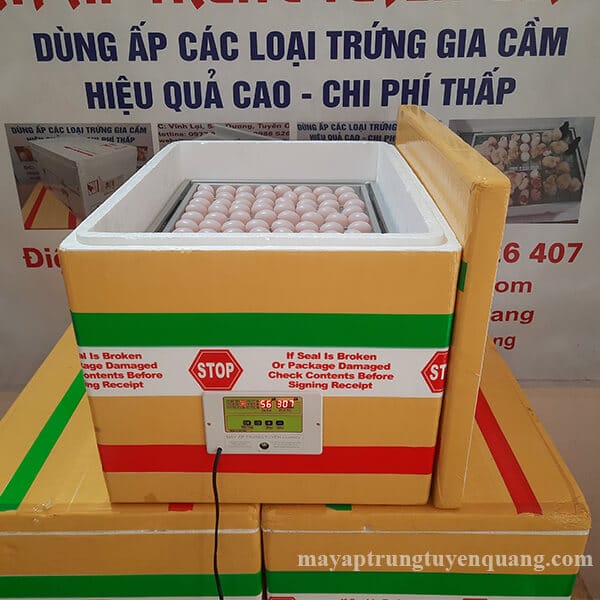 Máy Ấp 100 Trứng Bồ Câu Vỏ Xốp