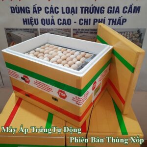 Máy Ấp 60 Trứng Vỏ Xốp Bản Tiết Kiệm