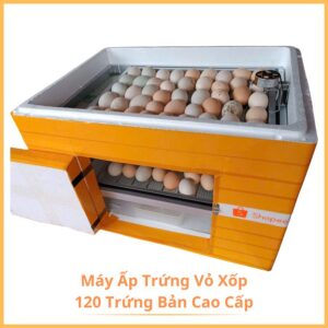 Máy Ấp 120 Trứng Vỏ Xốp Bản Cao Cấp
